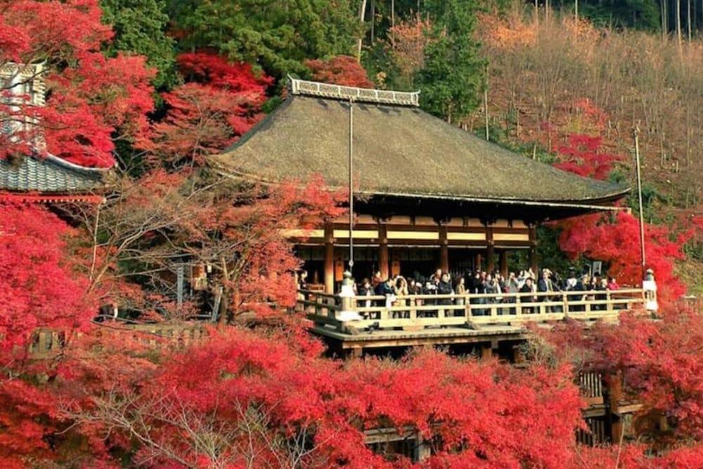 Ferienhaus Hanabi Nijo-jo Castle Kyōto