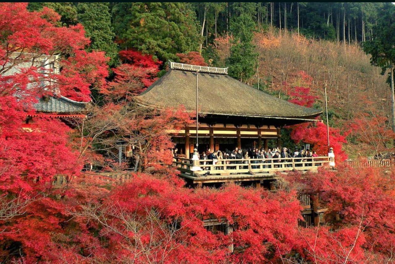 Hanabi Nijo-jo Castle Ferienhaus